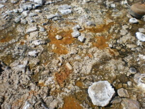 Efflorescent salts and iron precipitates in an area of seepage at the base of a tailings facility.